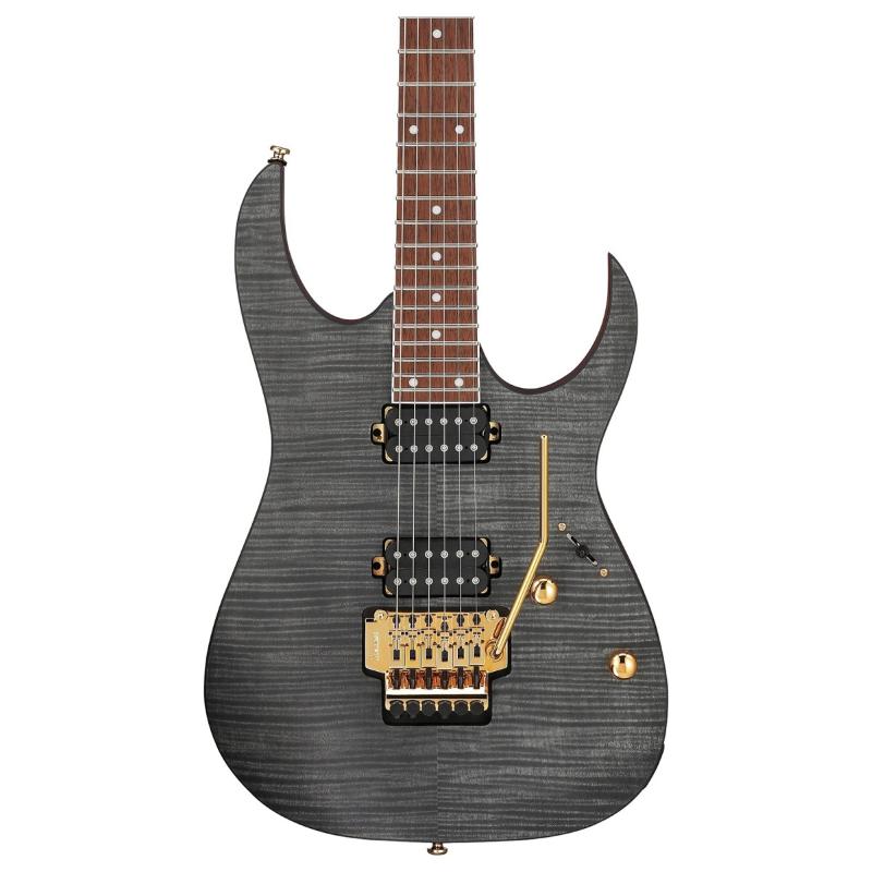 Ibanez RGR420FMSPTGF TGF (Transparent Gray Flat)