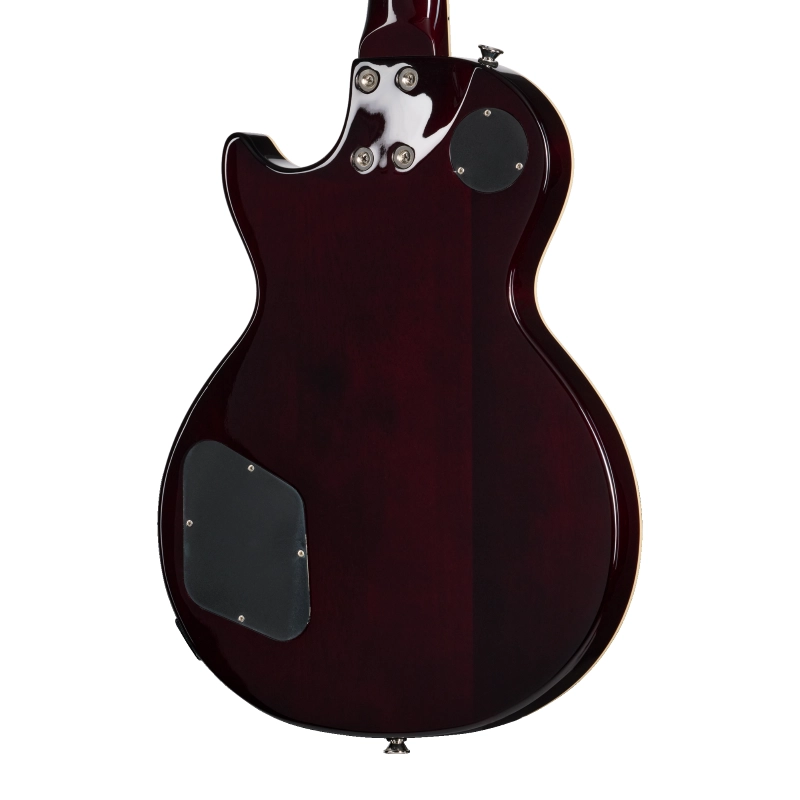 E1LPTPVSNH1_4_BackBody