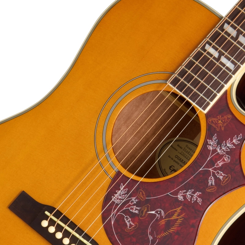 EASHCANNH1_25022301603_7_SoundHole