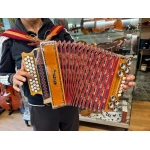 usato Organetto Tirolese Verde 12 Bassi, 31 Bottoni