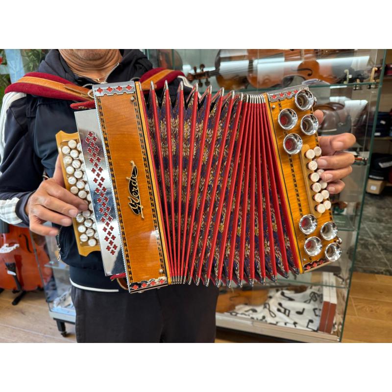 usato Organetto Tirolese Verde 12 Bassi, 31 Bottoni