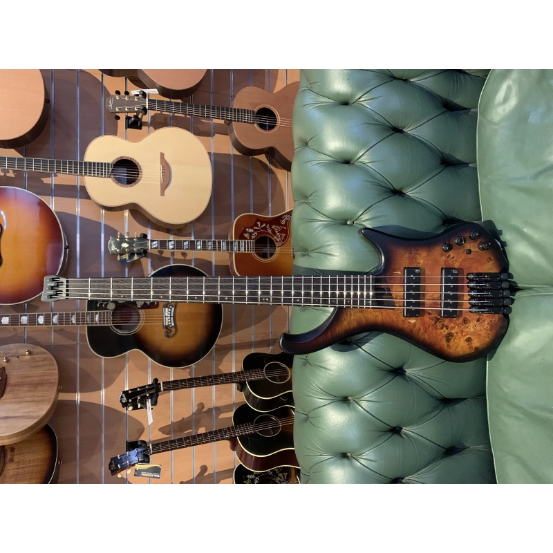 usato Ibanez EHB 1505 con borsa