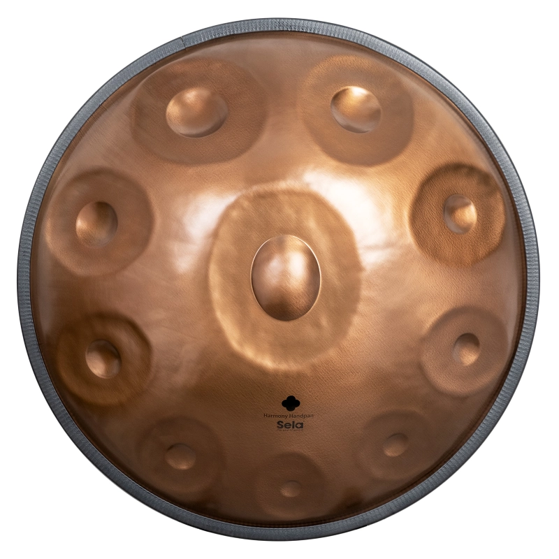Sela SE-320 Harmony Handpan D Kurd 10 Phoenix Steel