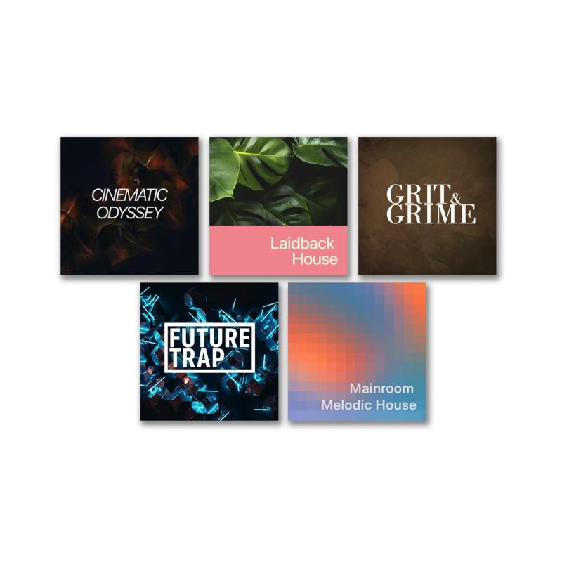 Steinberg Cubase ELEMENTS 15 Educational Software