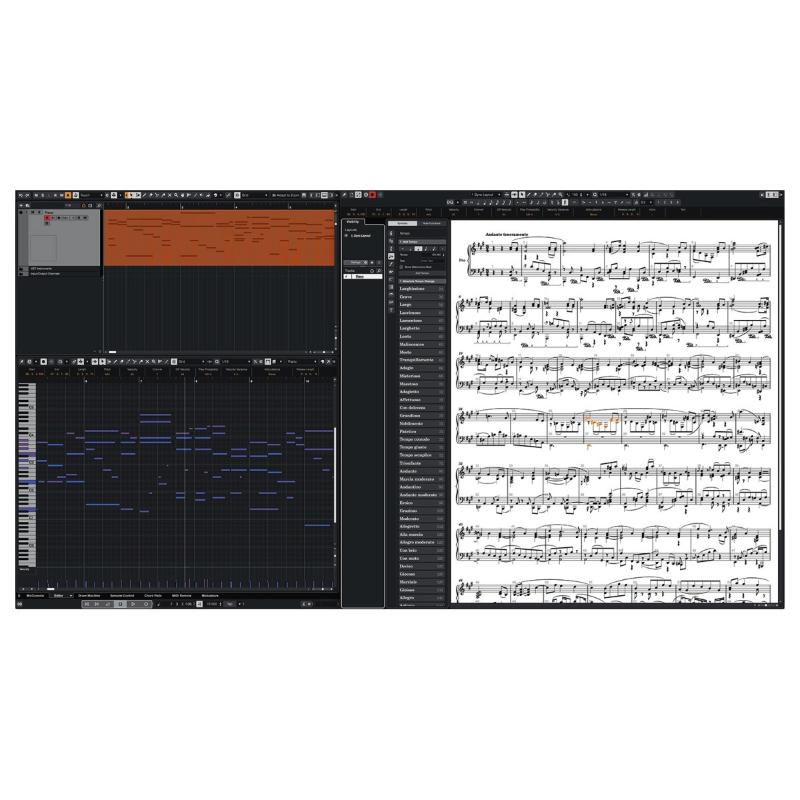 Steinberg Cubase ELEMENTS 15 Software