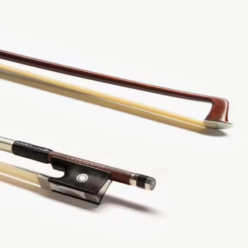 Eastman BL305 Arco Violino Carbon Fiber Veneer 4/4 CADENZA 3 STELLE ***