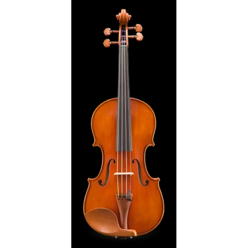 EASTMAN VL250 Violino Andreas Eastman 4/4