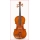 EASTMAN VL250 Violino Andreas Eastman 4/4