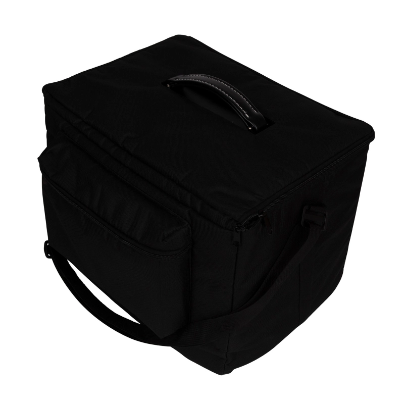 Godin Guitars ASG-8 Acoustic Solutions Amp 120W Natural ASG