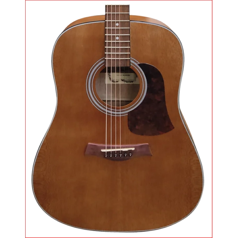 CAMWOOD IW-240MNS EL CWE Chitarra Acustica Elettrificata