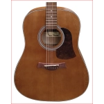 CAMWOOD IW-240MNS EL CWE Chitarra Acustica Elettrificata