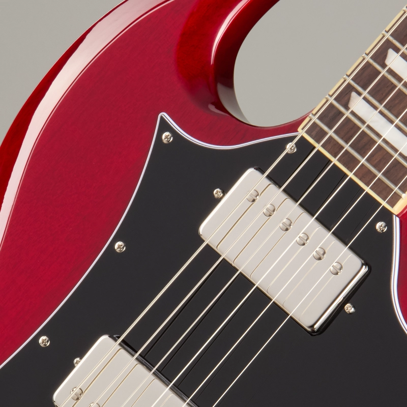 EIGSGSCHNHR_7_Pickup