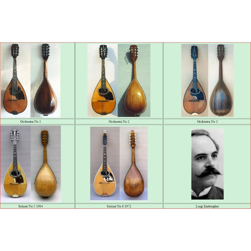 usato Luigi Embergher Mandolino NR.3 del 1921