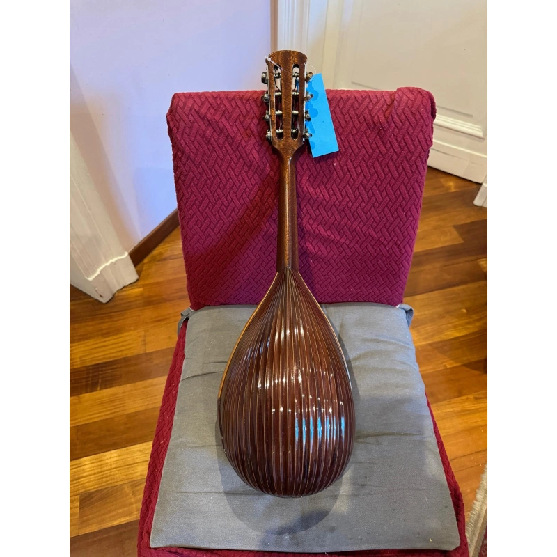 usato Luigi Embergher Mandolino NR.3 del 1921