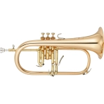 YAMAHA YFH8310ZG Flicorno professionale in Sib