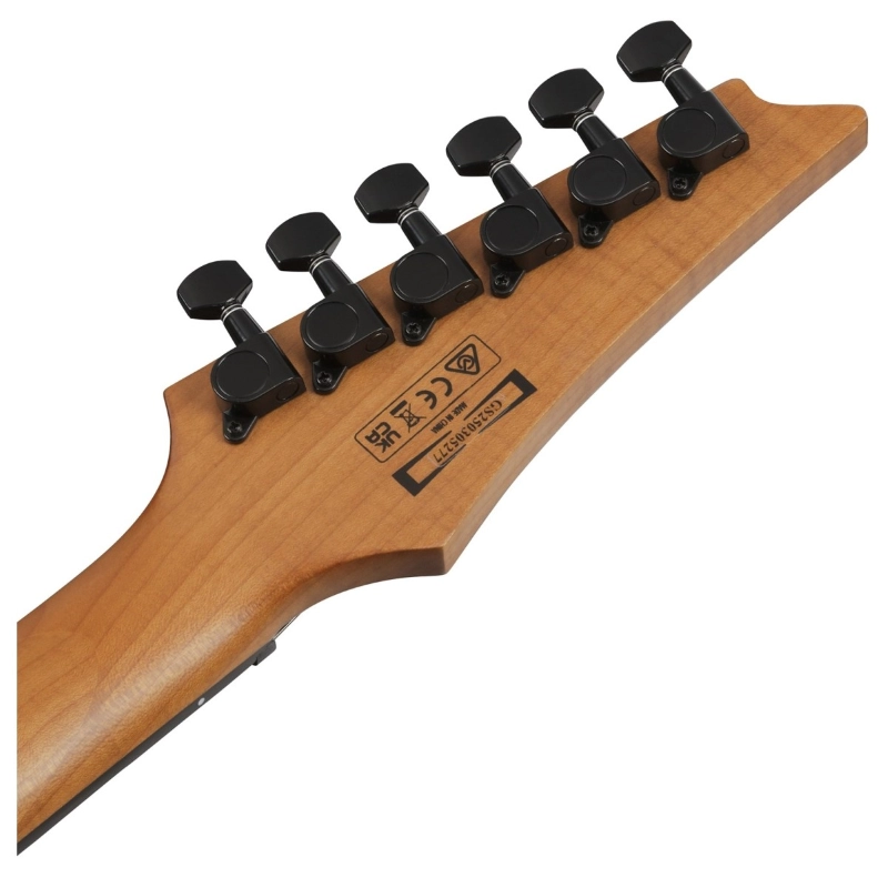 Ibanez GRGR221FATDK Transparent Indigo Black