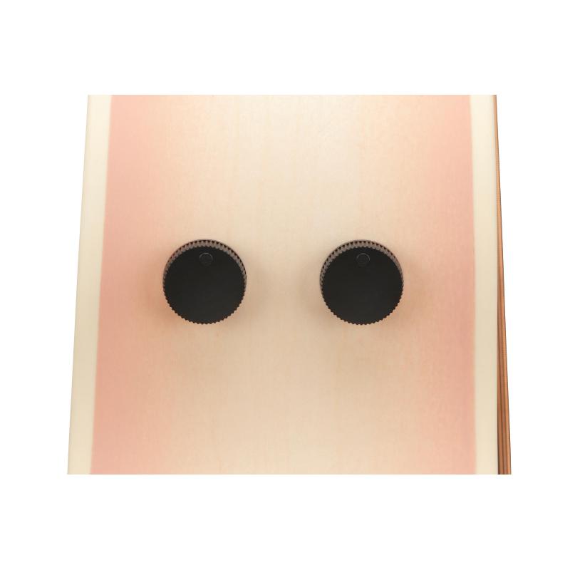 Ibanez AAM370M2EAPF Transp. Antique White Peach Fuzz Open Pore