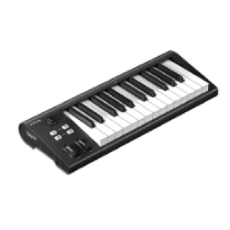 ICON Artist 25 Tastiera Controller Midi Usb Con Comandi Mappabili