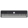 Roland FP-E50 Pianoforte Digitale Portatile con Potenti Funzionalità di Intrattenimento