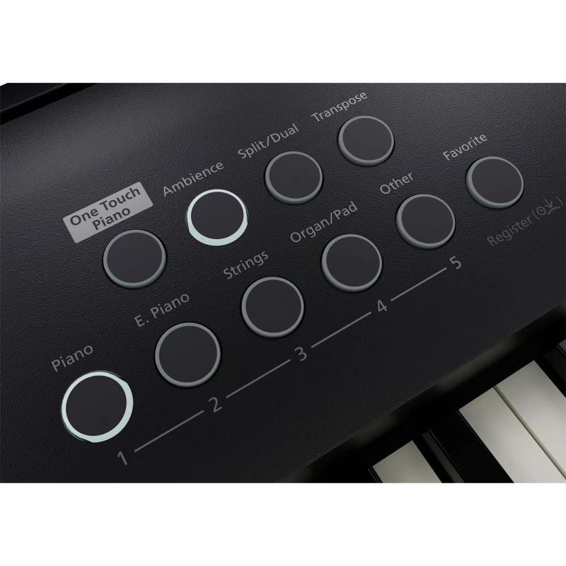 Roland FP-E50 Pianoforte Digitale Portatile con Potenti Funzionalità di Intrattenimento