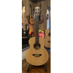 usato Bromo BAT8E Bass acustico