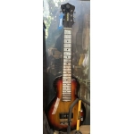 usato Lap Steel Recording King