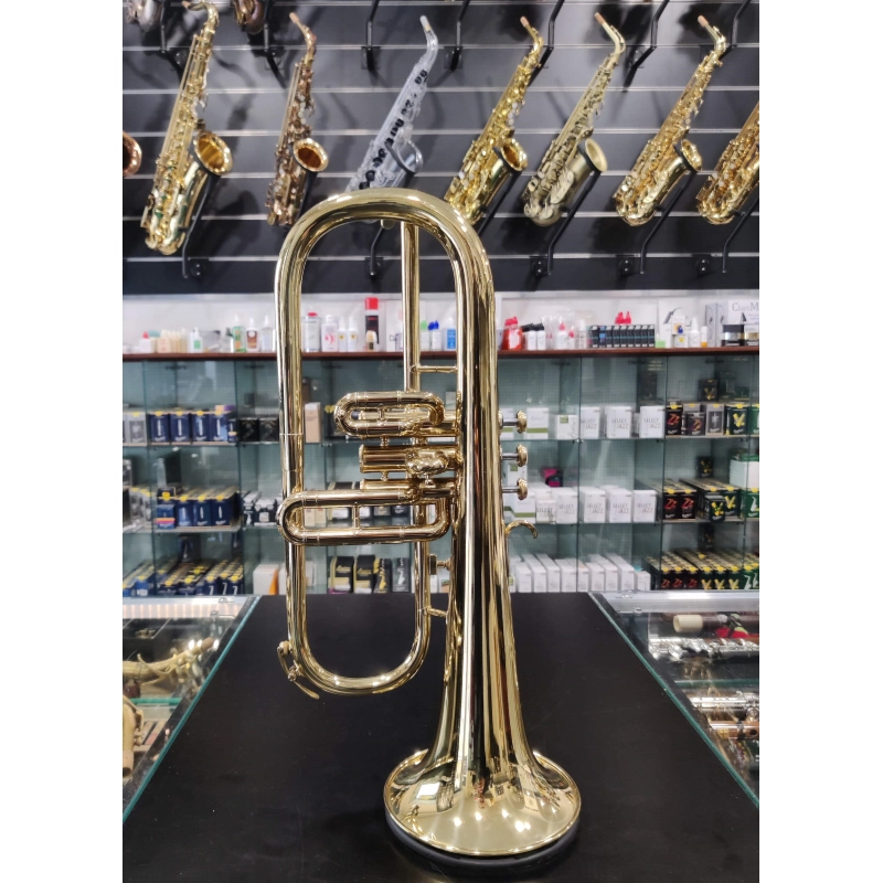 usato Amati AFH-201 Flicorno Soprano Laccato