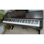 usato Yamaha YPD141
