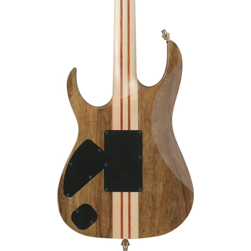 Ibanez IV2RG Vision W/Case