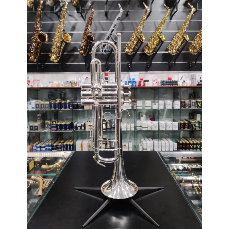 usato B&S Challenger 3137 Tromba in Sib Argentata