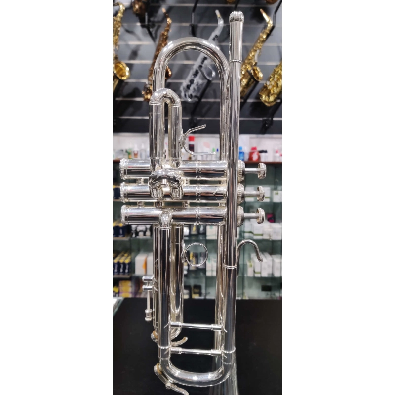 usato B&S Challenger 3137 Tromba in Sib Argentata