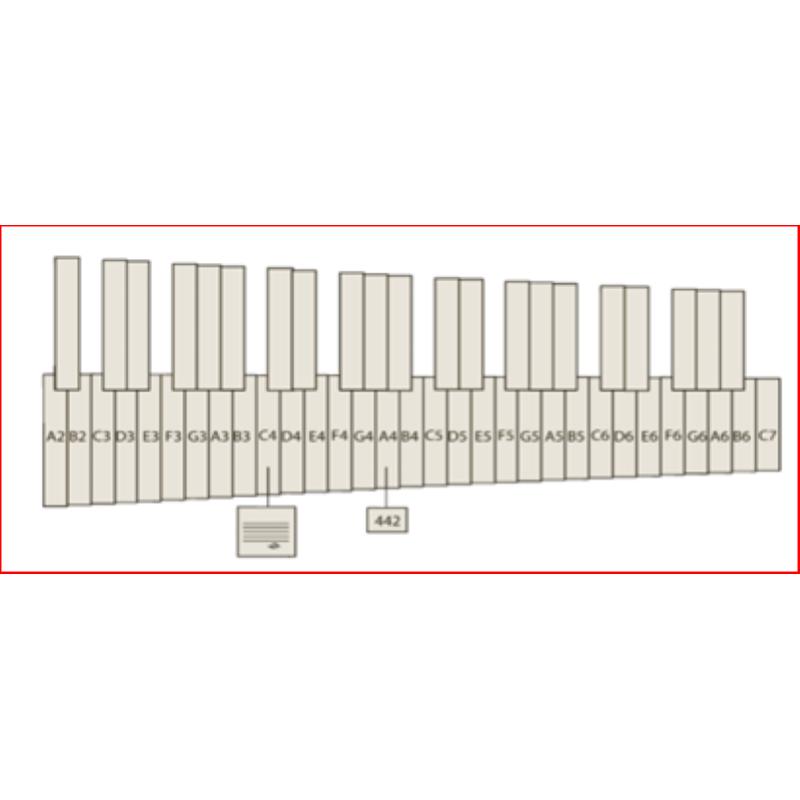 VANCORE Marimba PSM 501 A2-C7 Padouk 4.3 ottave, mm.65-40