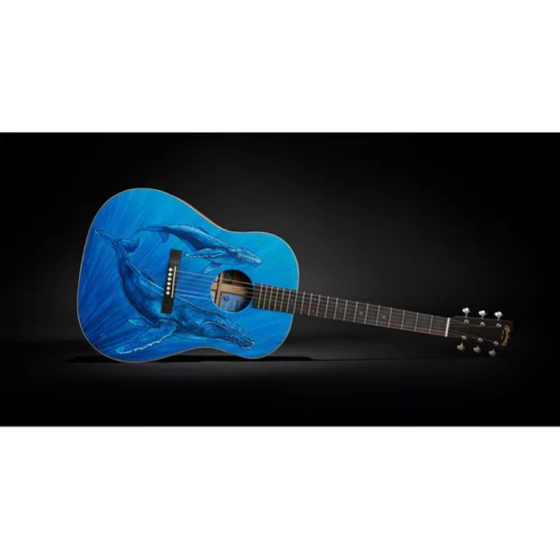 Martin & Co. DSS Biospehere™II