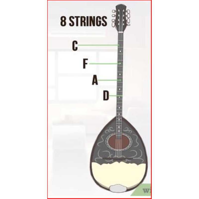 Bouzuki BZ1 8 Corde originale greco con borsa