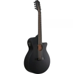 Ibanez AEG1221BOT Chitarra a 12 corde Black Out