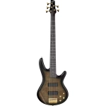 Ibanez GSR205PCTPB Basso a 5 Corde Transparent Pale Black Burst