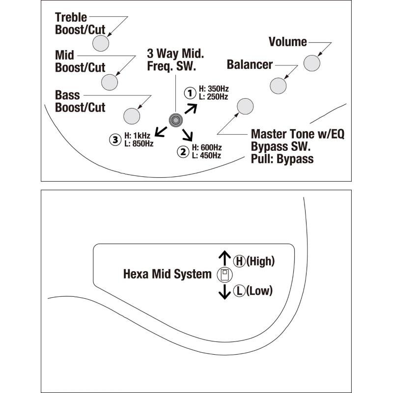 Ibanez MDM1605DTW Basso a 5 Corde Deep Twilight