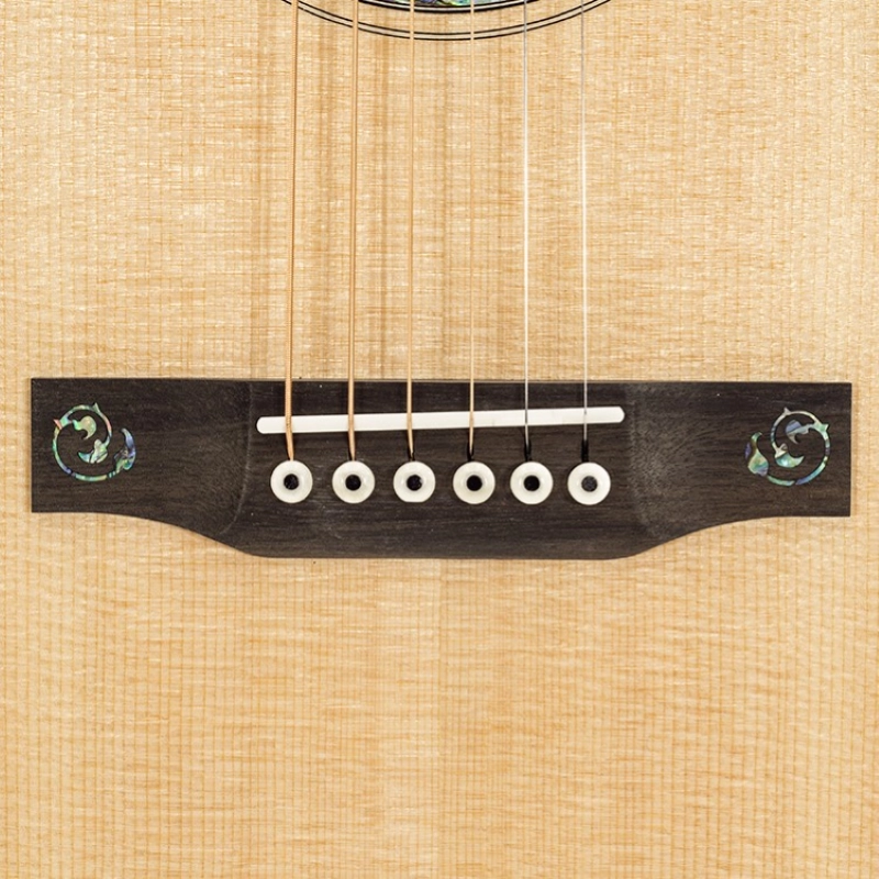 Larrivee 10 Orchestra Elettrificata OM10