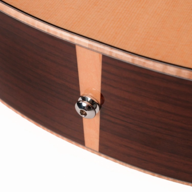 Larrivee 09 Orchestra Elettrificata OM09