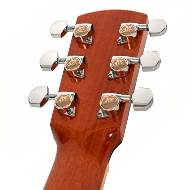 Larrivee 09 Orchestra Elettrificata OM09