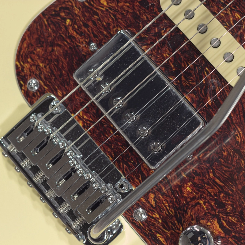 R66 Schecter Custom Traditional Saint Louis Aged White