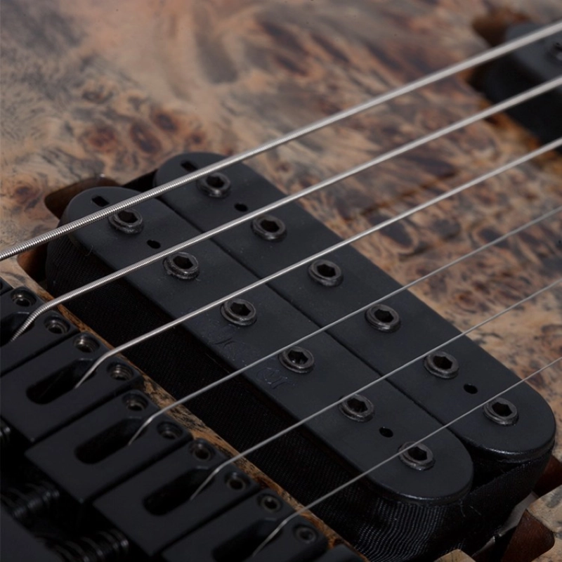 Schecter C-6 PRO-ARB C