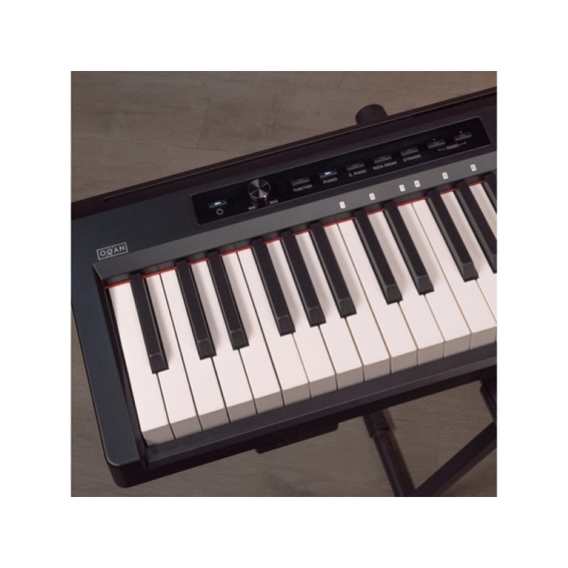 Oqan QK88P Pianoforte Digitale 88 Tasti Semipesati