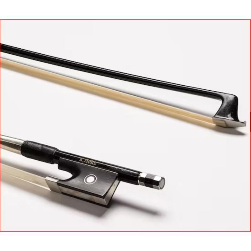 EASTMAN VL50 SBC Violino Samuel Eastman 4/4, Completo di arco e astuccio