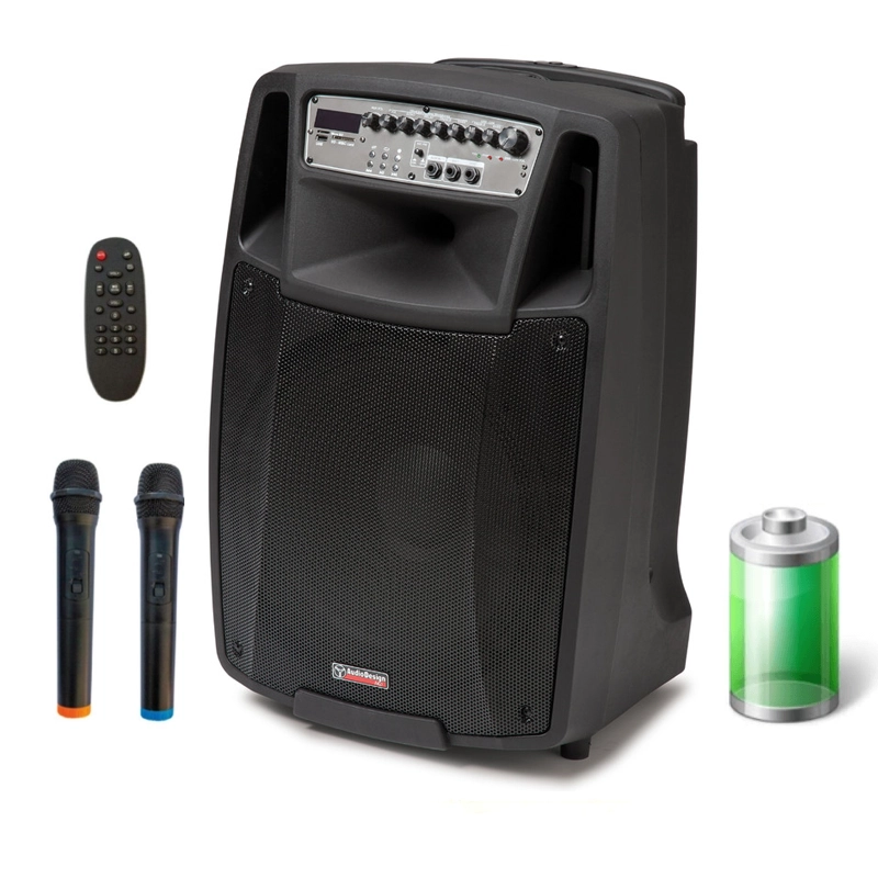 Audio Design M2 15W/L Diffusore a batteria alimentato con doppio radiomicrofono 750W