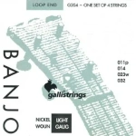 Galli G204 Muta Corde Banjo a 4 Corde Nickel