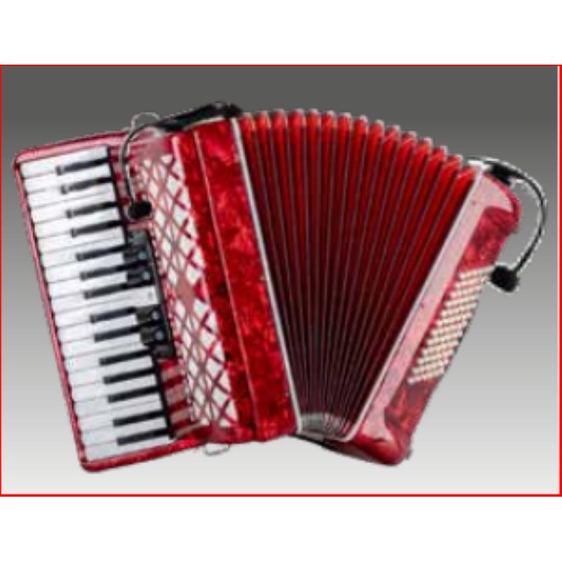 Audio design PA MFA2 Set di 2 Microfoni per Fisarmonica Organetto