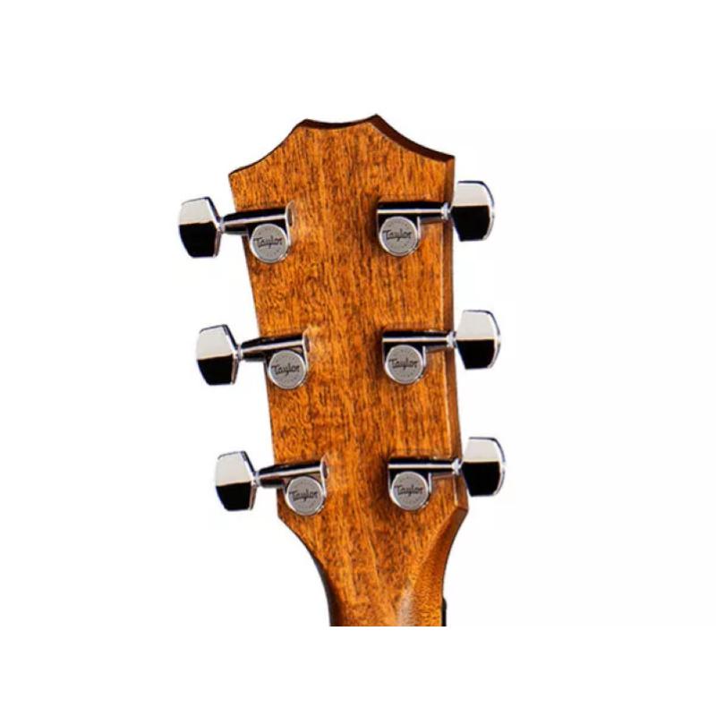 Taylor Builder's Edition 717e,Nat Top,V-Class(R)Bracing