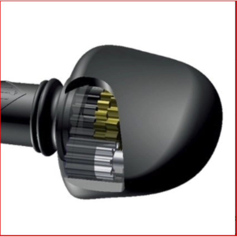 BRUCK P4010SEW FENG VIOLINO 4/4 Piroli Hi-Tech Astuccio Lusso