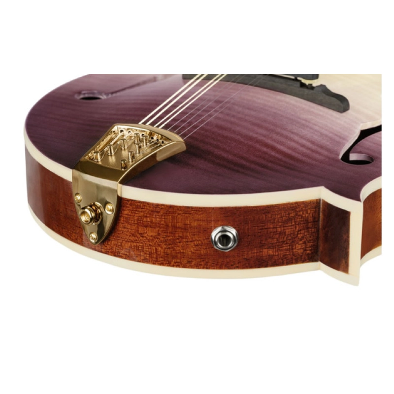Mandolino ORTEGA RMFE200PF stile F della serie Americana ORTEGA, con astuccio in pelle di coccodrillo.
